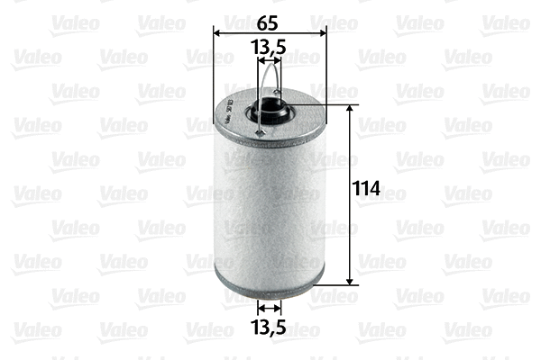 Fuel Filter (587923)