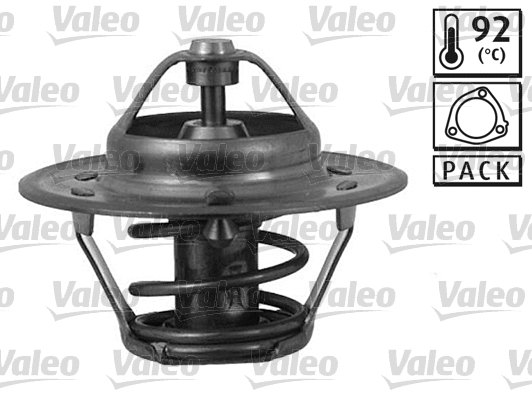 Thermostat, coolant (820290)