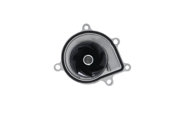 Water Pump, engine cooling (529531)
