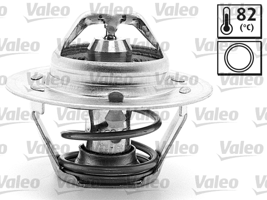 Thermostat, coolant (819874)