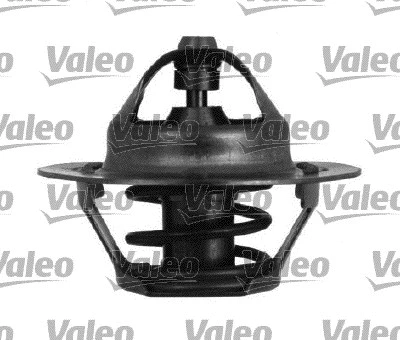 Thermostat, coolant (820964)