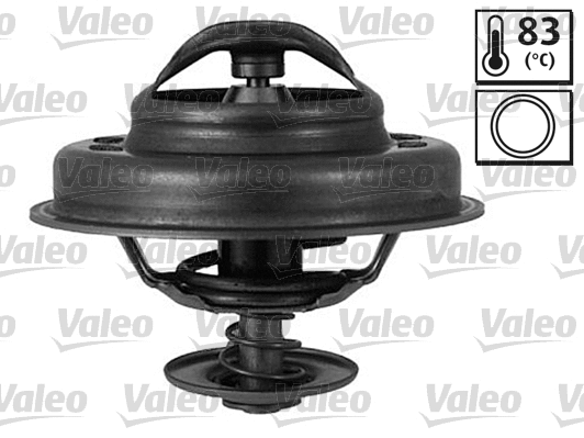 Thermostat, coolant (820010)