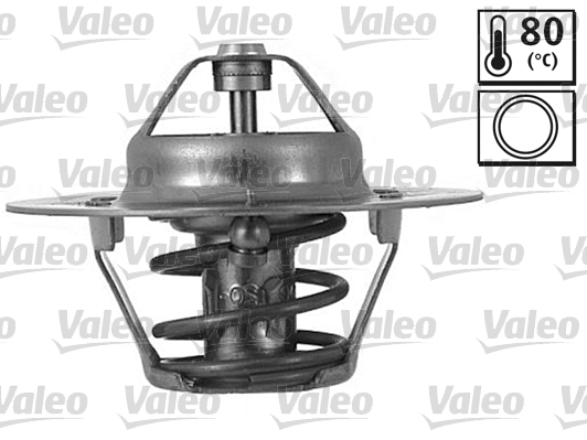 Thermostat, coolant (820541)