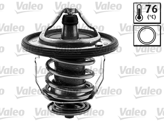 Thermostat, coolant (820135)