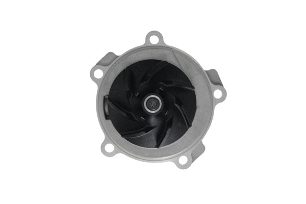 Water Pump, engine cooling (529516)