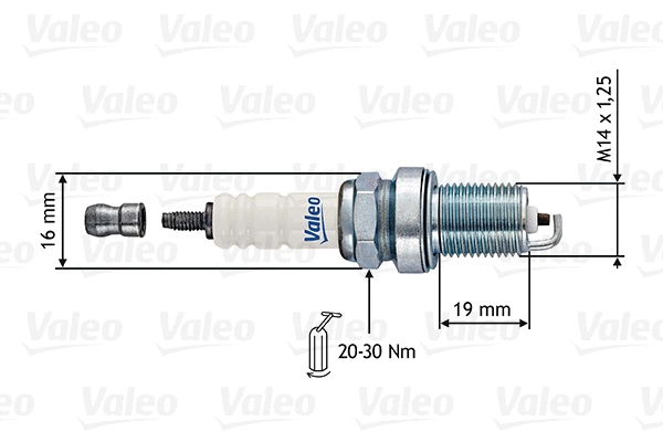Spark Plug (246877)