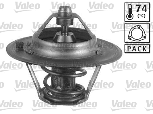 Thermostat, coolant (820485)