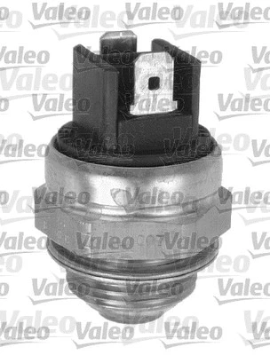 Temperature Switch, radiator fan (819760)