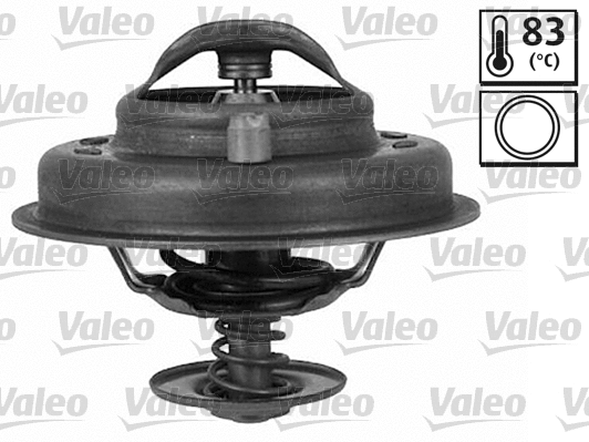 Thermostat, coolant (819931)