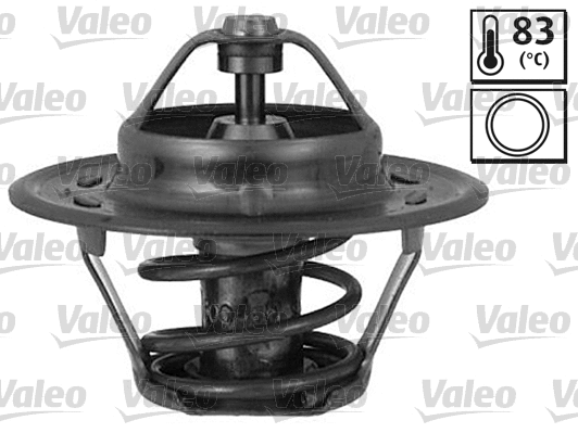 Thermostat, coolant (819850)