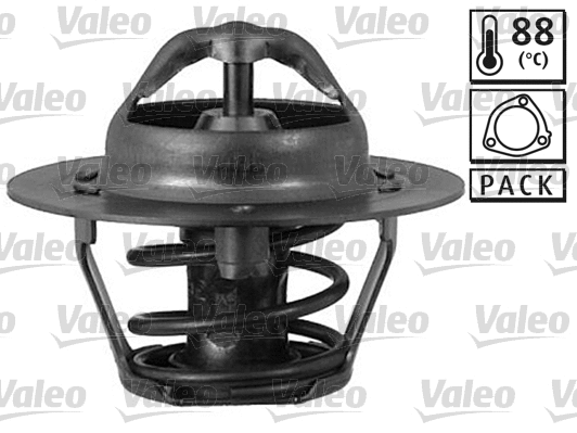 Thermostat, coolant (820068)