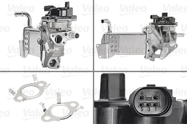 EGR Module
