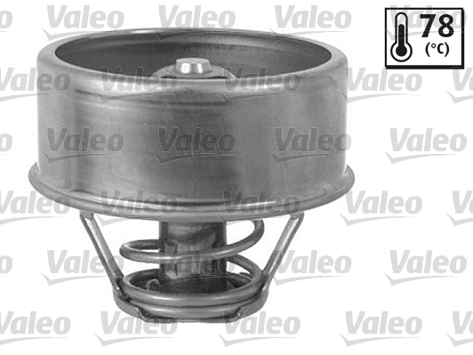 Thermostat, coolant (819877)