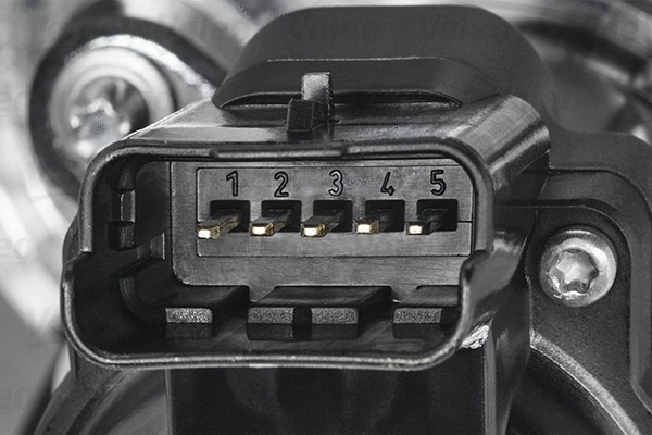 EGR Valve