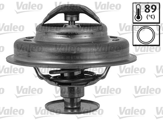 Thermostat, coolant (819936)