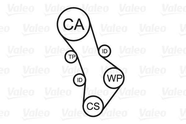 Water Pump & Timing Belt Kit