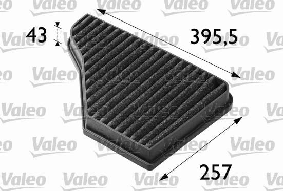 Filter, cabin air (698705)