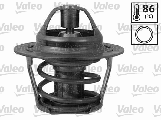 Thermostat, coolant (819838)