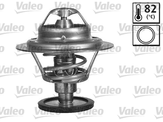 Thermostat, coolant (819885)
