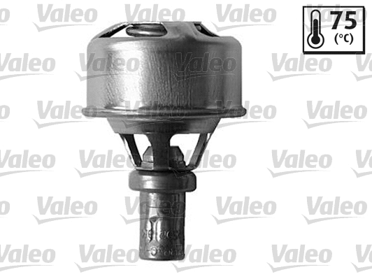 Thermostat, coolant (819921)