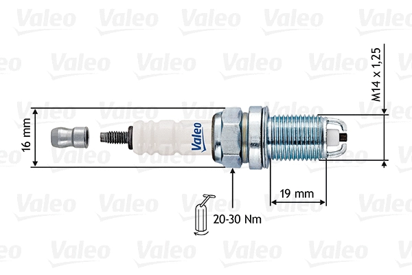Spark Plug (246901)