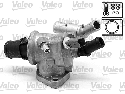 Thermostat, coolant (820588)