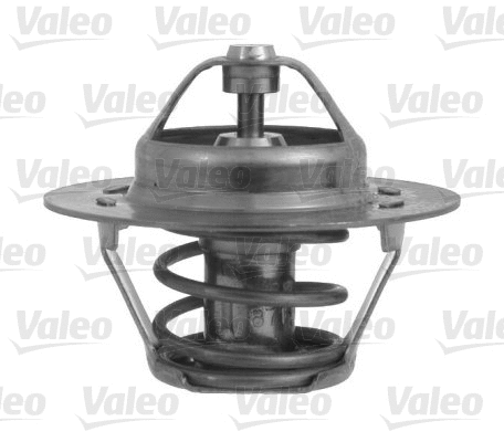 Thermostat, coolant (820551)