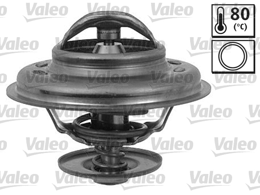 Thermostat, coolant (820059)