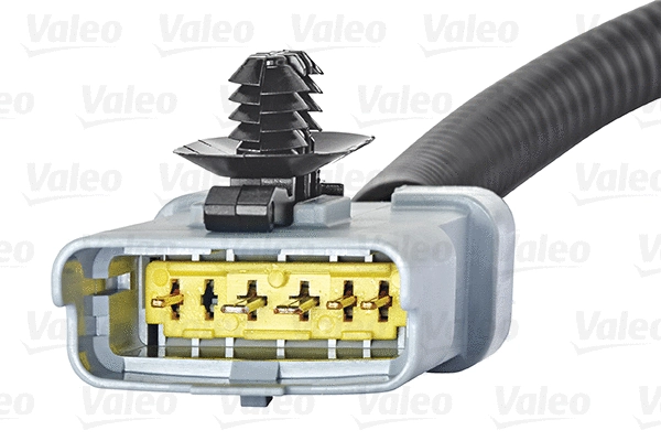 EGR Valve
