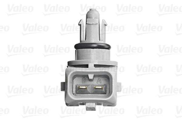 Sensor, intake air temperature
