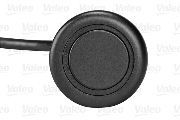 Sensor, parking distance control