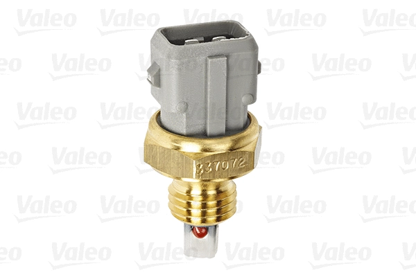 Sensor, intake air temperature