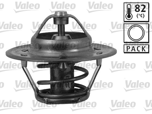 Thermostat, coolant (819845)