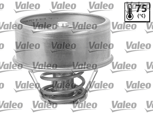 Thermostat, coolant (819856)