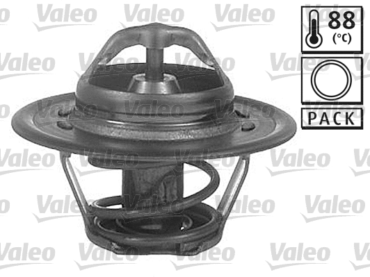 Thermostat, coolant (820028)