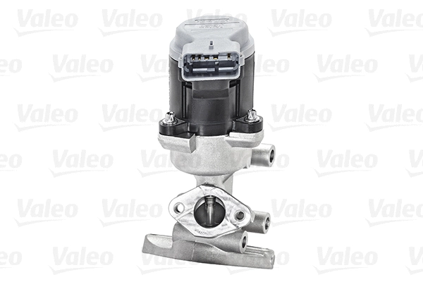 EGR Valve (700422)