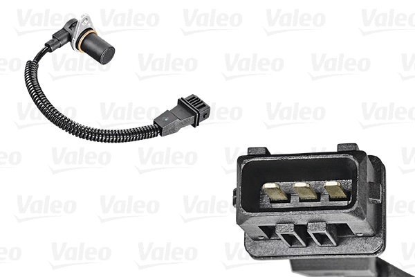 Sensor, camshaft position (253853)