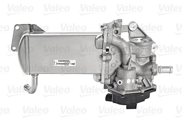 EGR Module