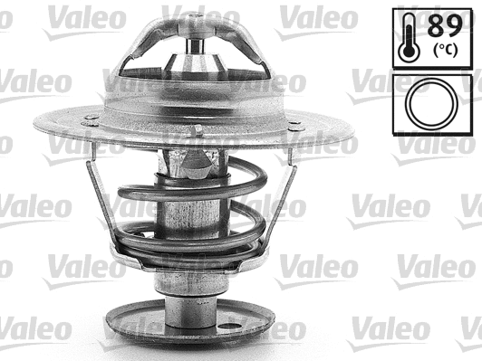 Thermostat, coolant (820074)