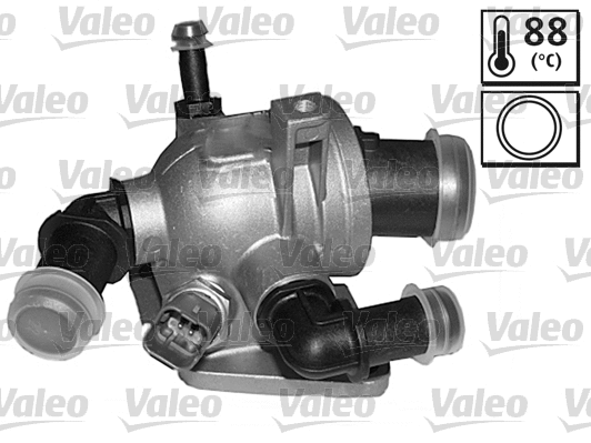 Thermostat, coolant (820934)