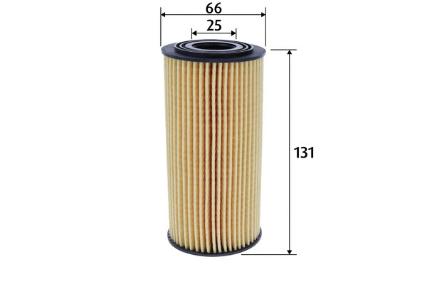 Oil Filter (586605)