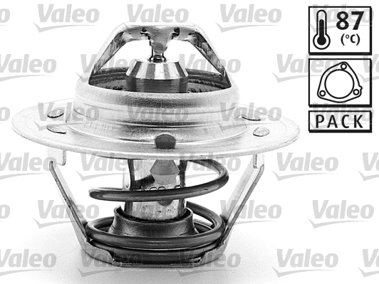 Thermostat, coolant (819875)