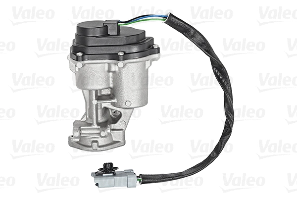 EGR Valve