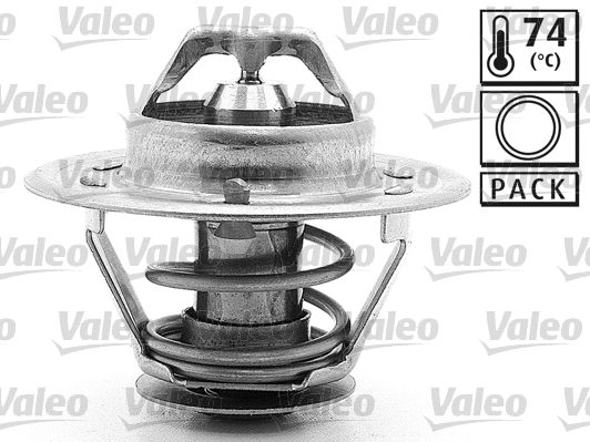 Thermostat, coolant (820023)