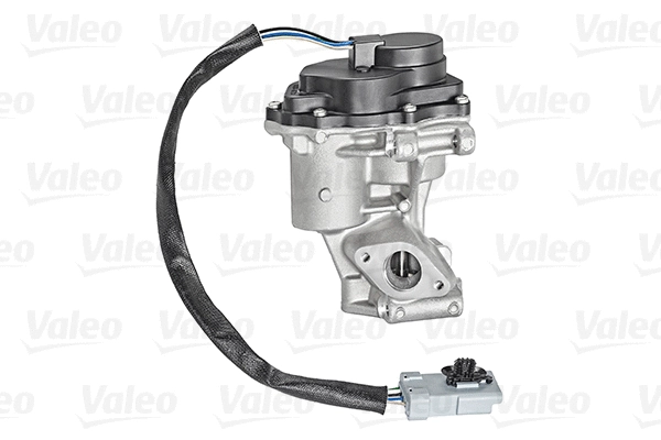 EGR Valve (700421)