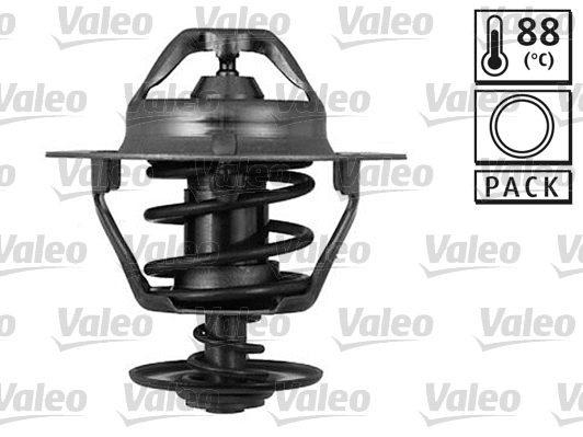 Thermostat, coolant (820178)