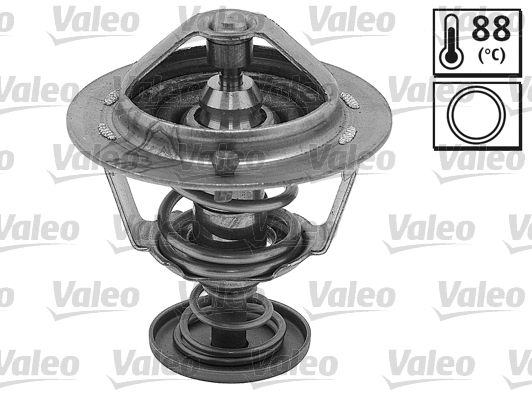 Thermostat, coolant (820533)