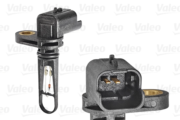 Sensor, intake air temperature (255601)