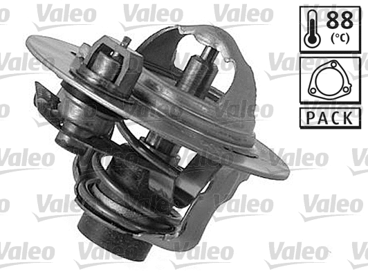 Thermostat, coolant (820072)