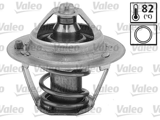 Thermostat, coolant (820145)
